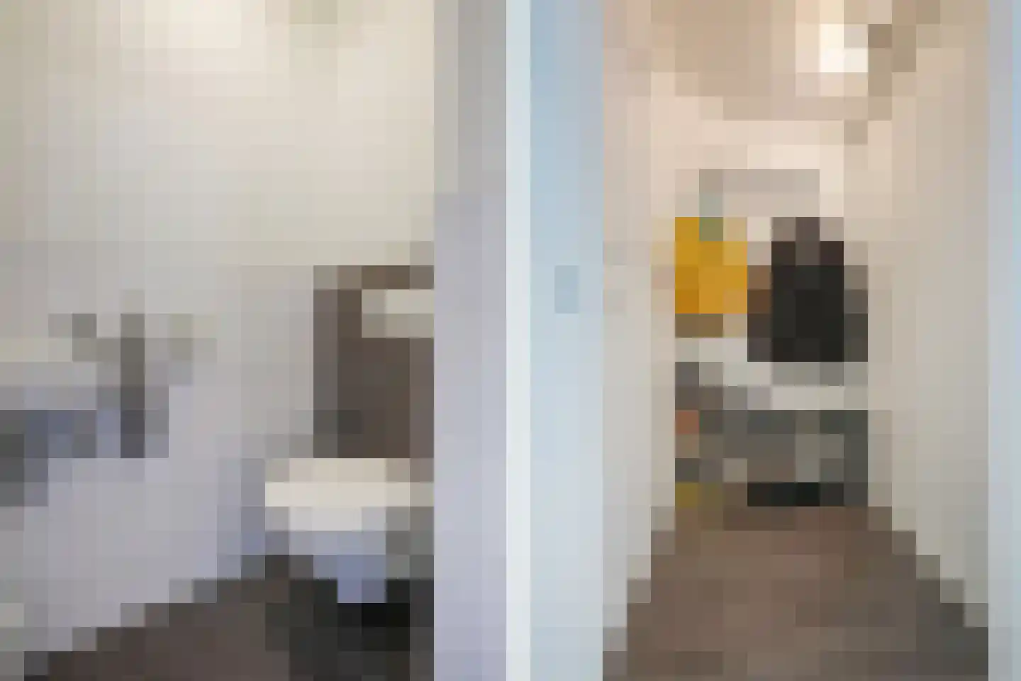 Palmstraat 24 2 Amsterdam thumbnail 16