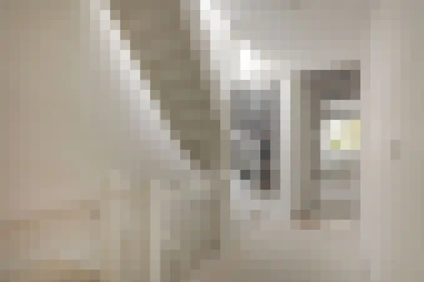 Palmstraat 24 2 Amsterdam thumbnail 29