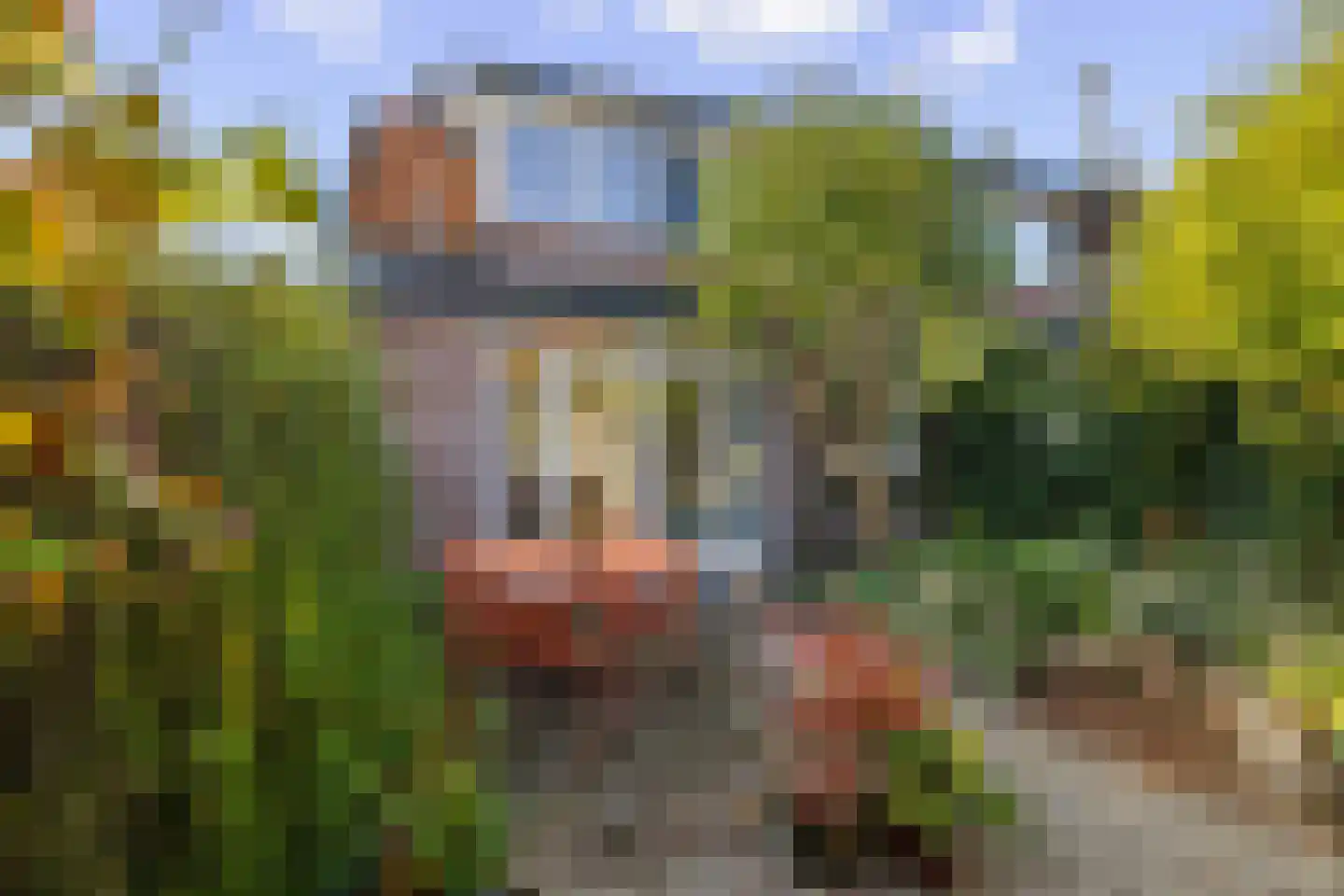 Palmstraat 249 Amersfoort thumbnail 45