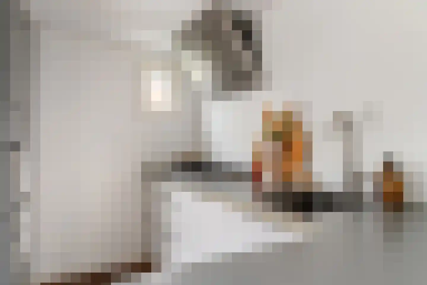 Palmstraat 25 BS Utrecht thumbnail 19