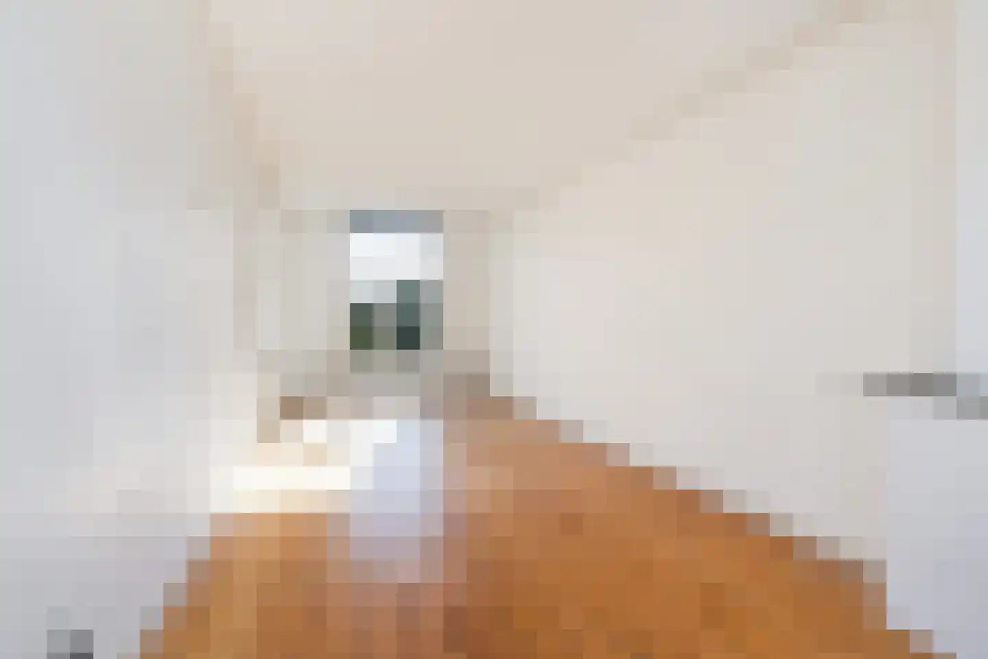 Palmstraat 28 BS Utrecht thumbnail 12