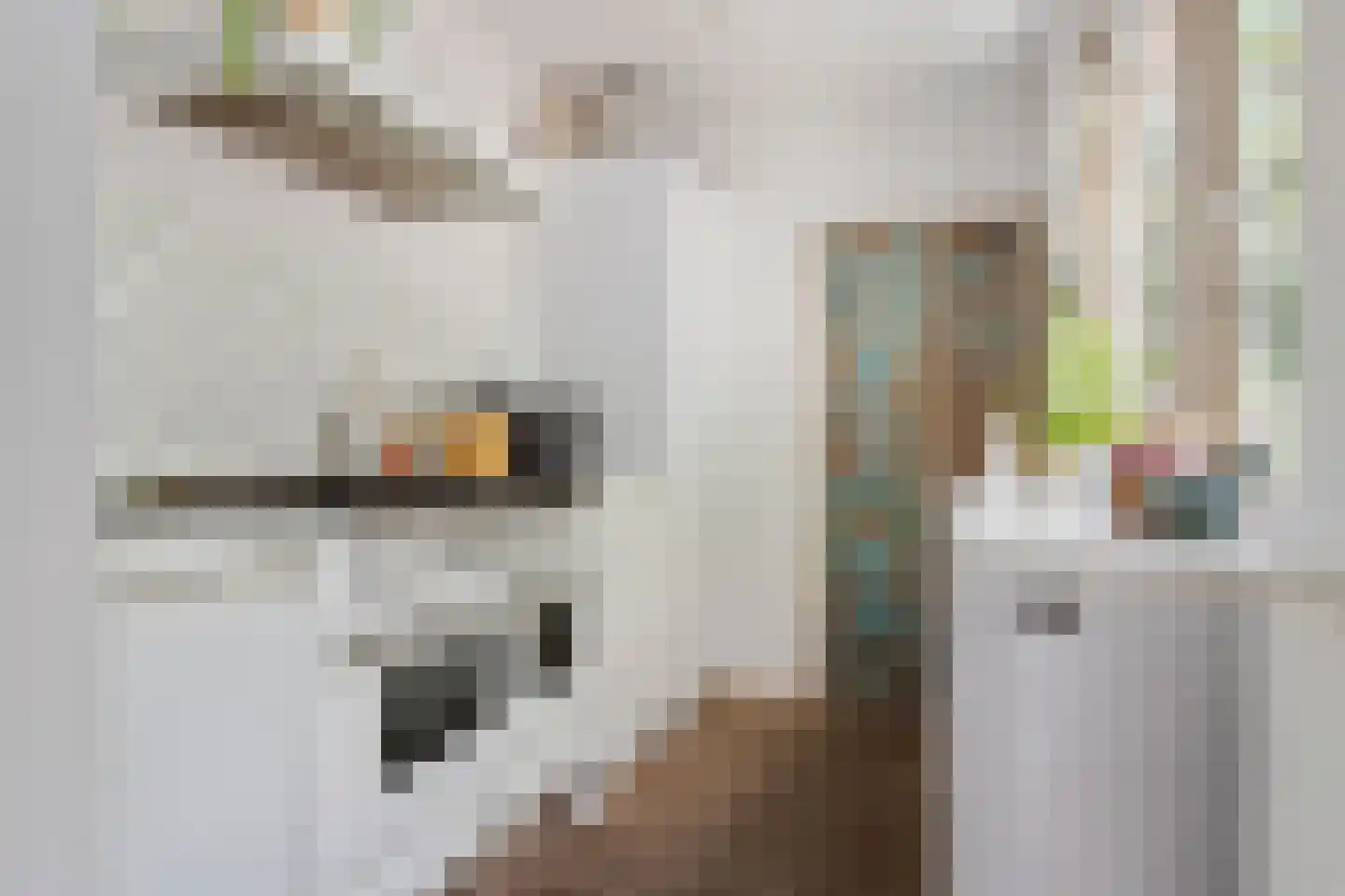 Palmstraat 48 Utrecht thumbnail 11