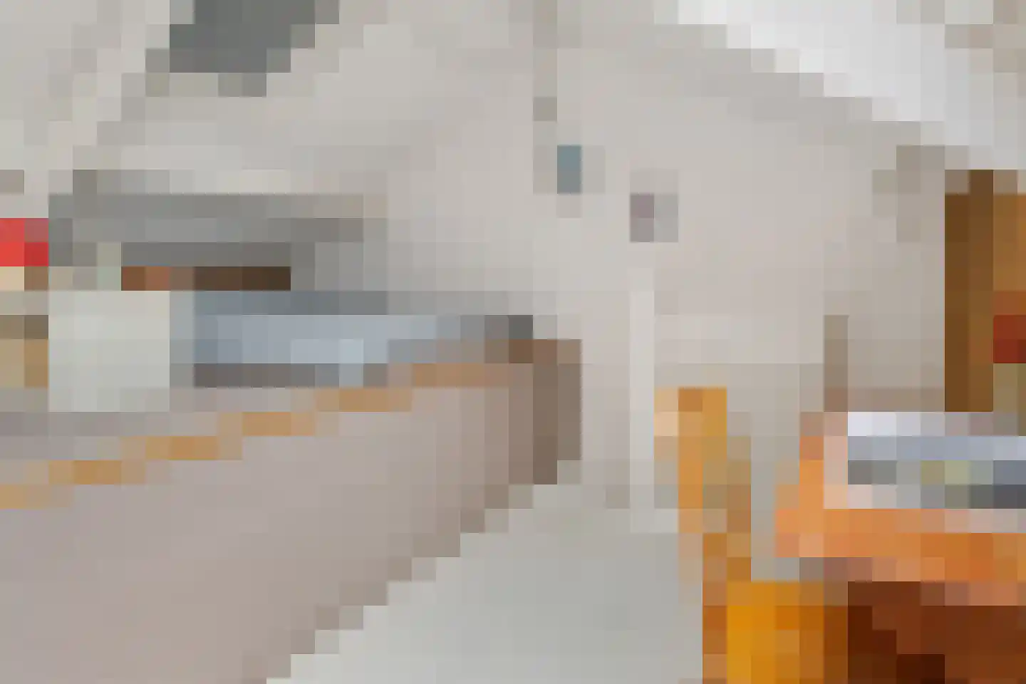 Palmstraat 48 Utrecht thumbnail 21