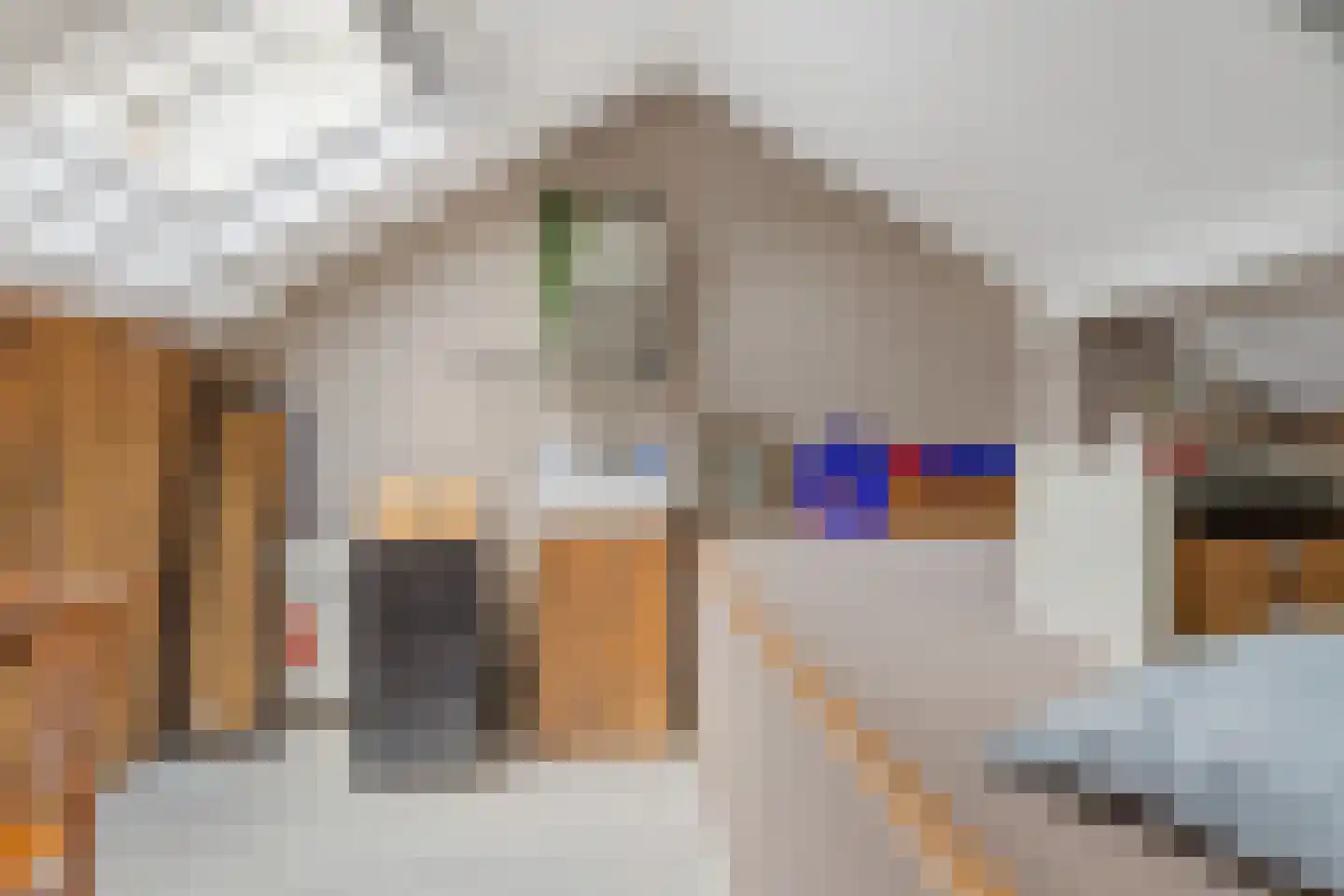 Palmstraat 48 Utrecht thumbnail 22