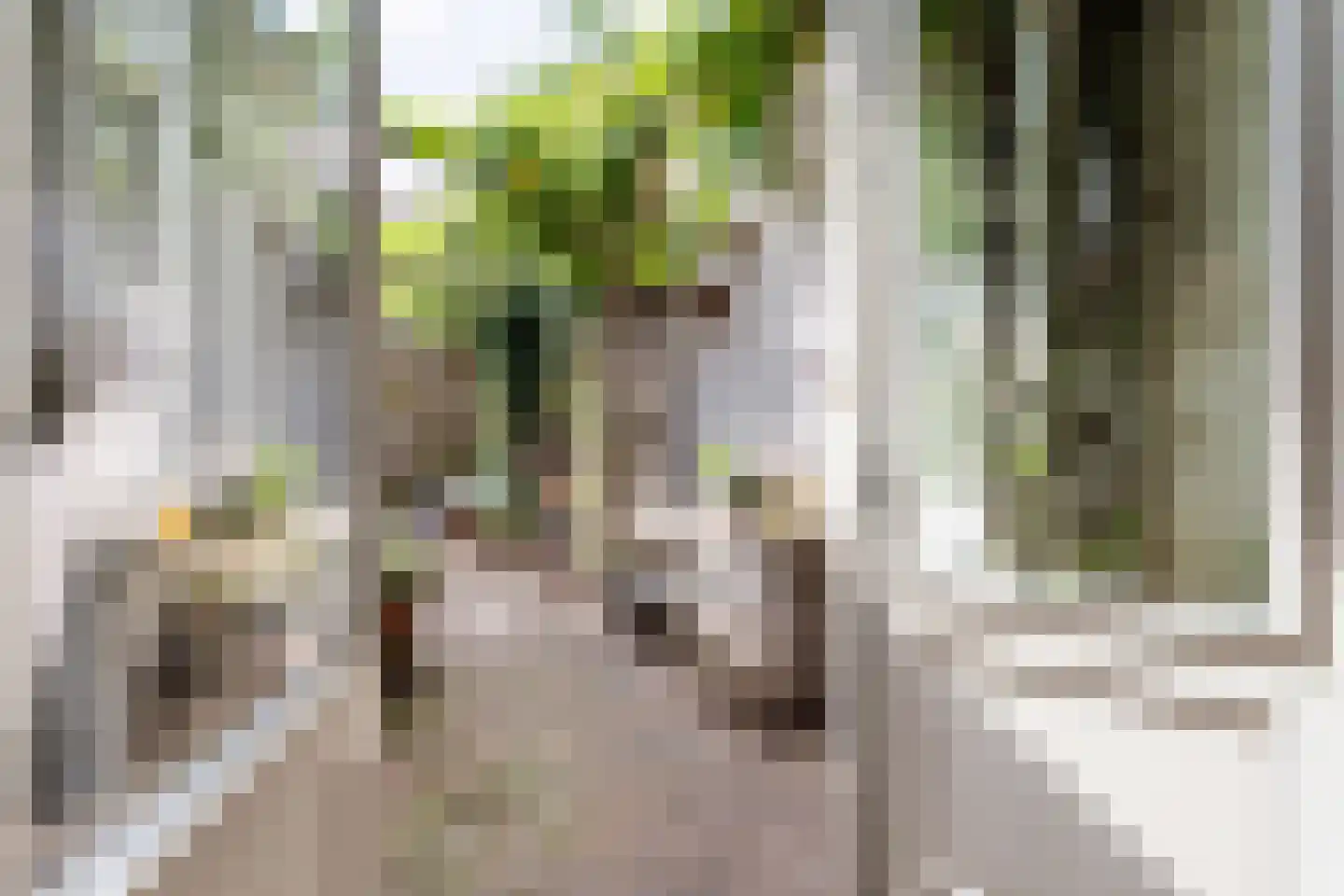 Palmstraat 48 Utrecht thumbnail 24