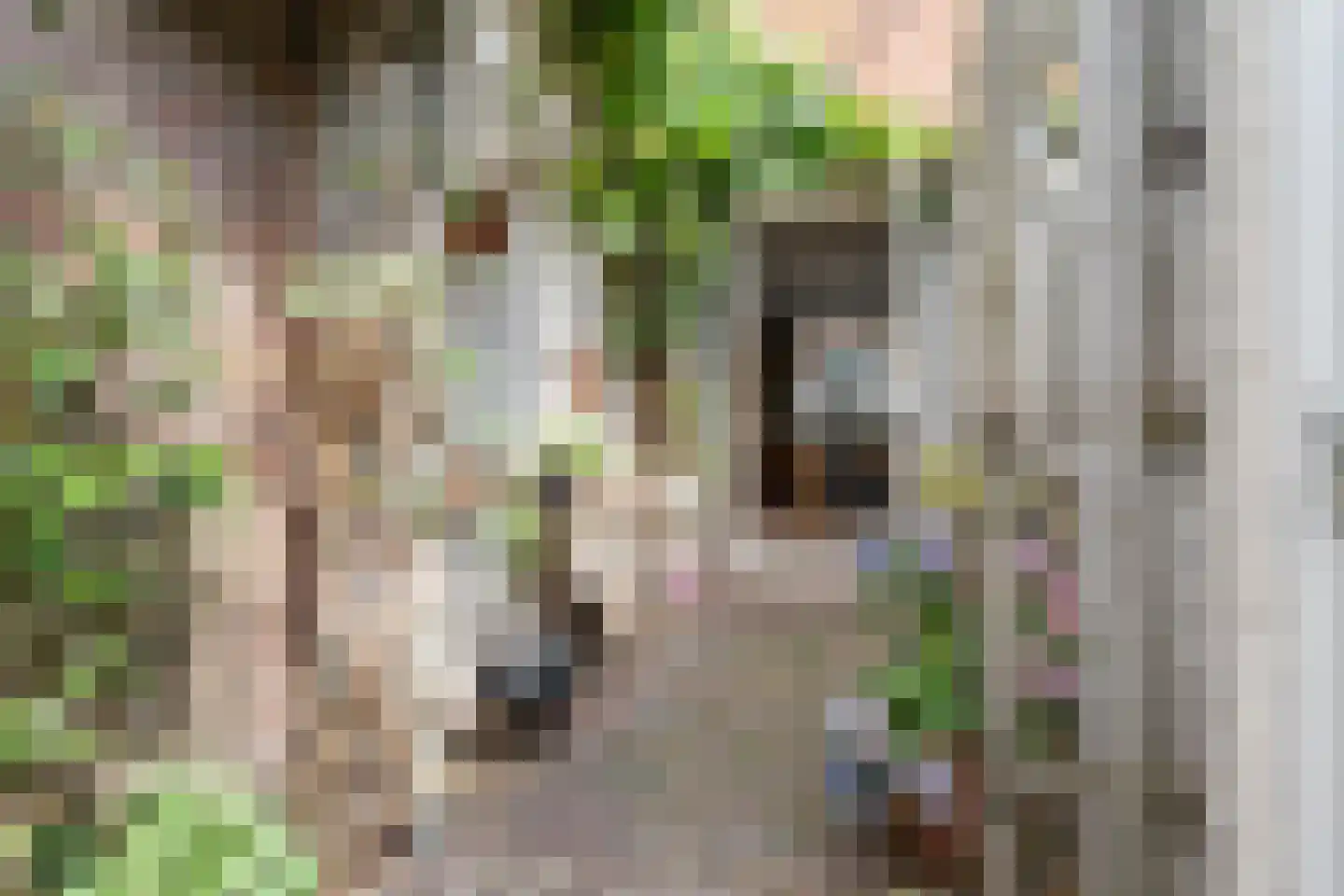 Palmstraat 48 Utrecht thumbnail 26