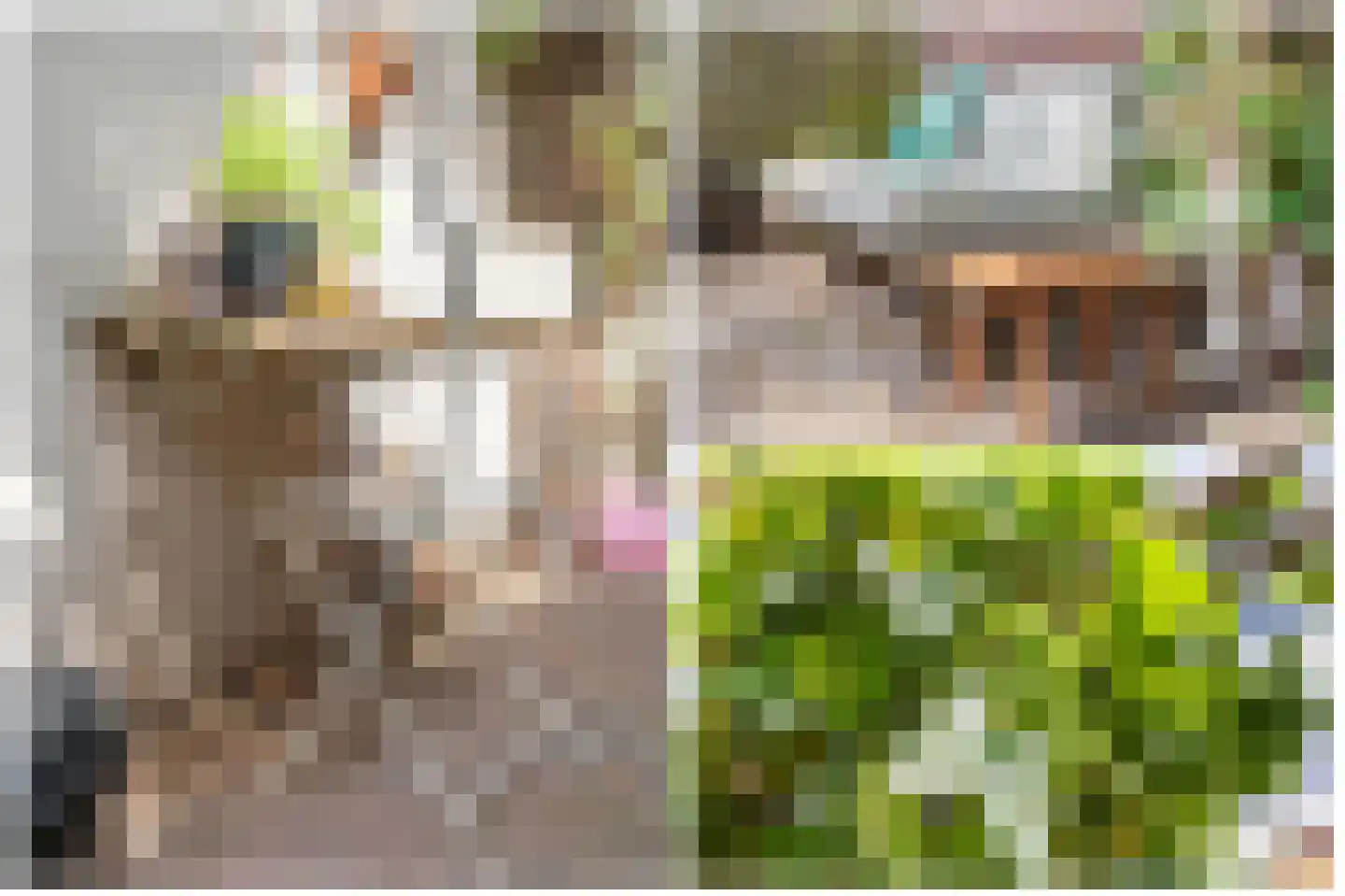 Palmstraat 48 Utrecht thumbnail 29