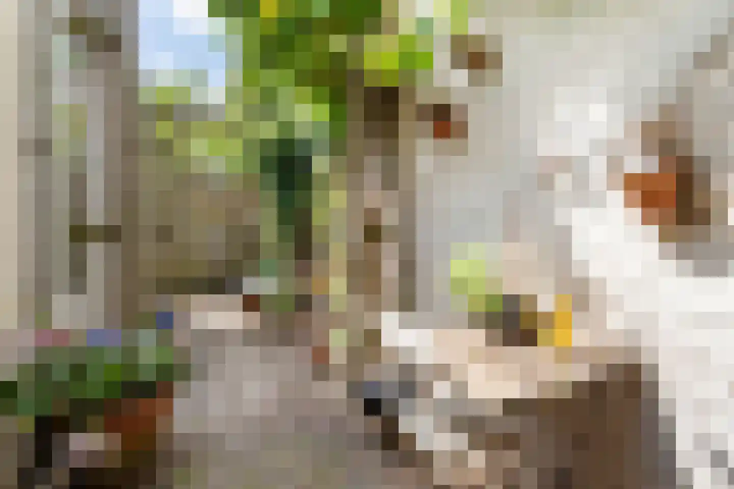 Palmstraat 48 Utrecht thumbnail 4