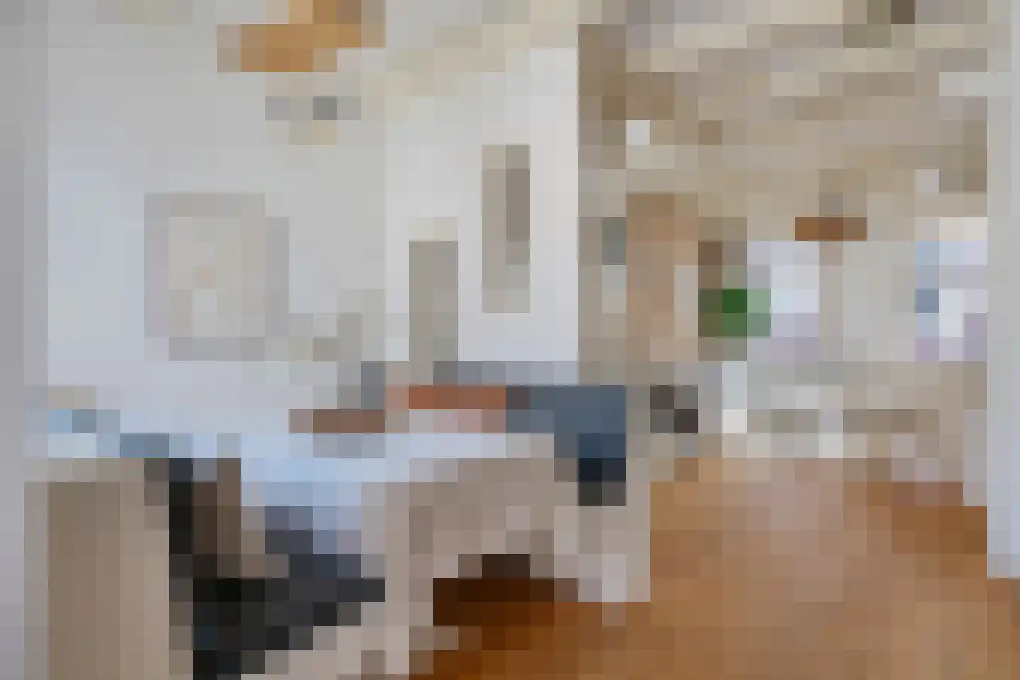 Palmstraat 60 2 Amsterdam thumbnail 10
