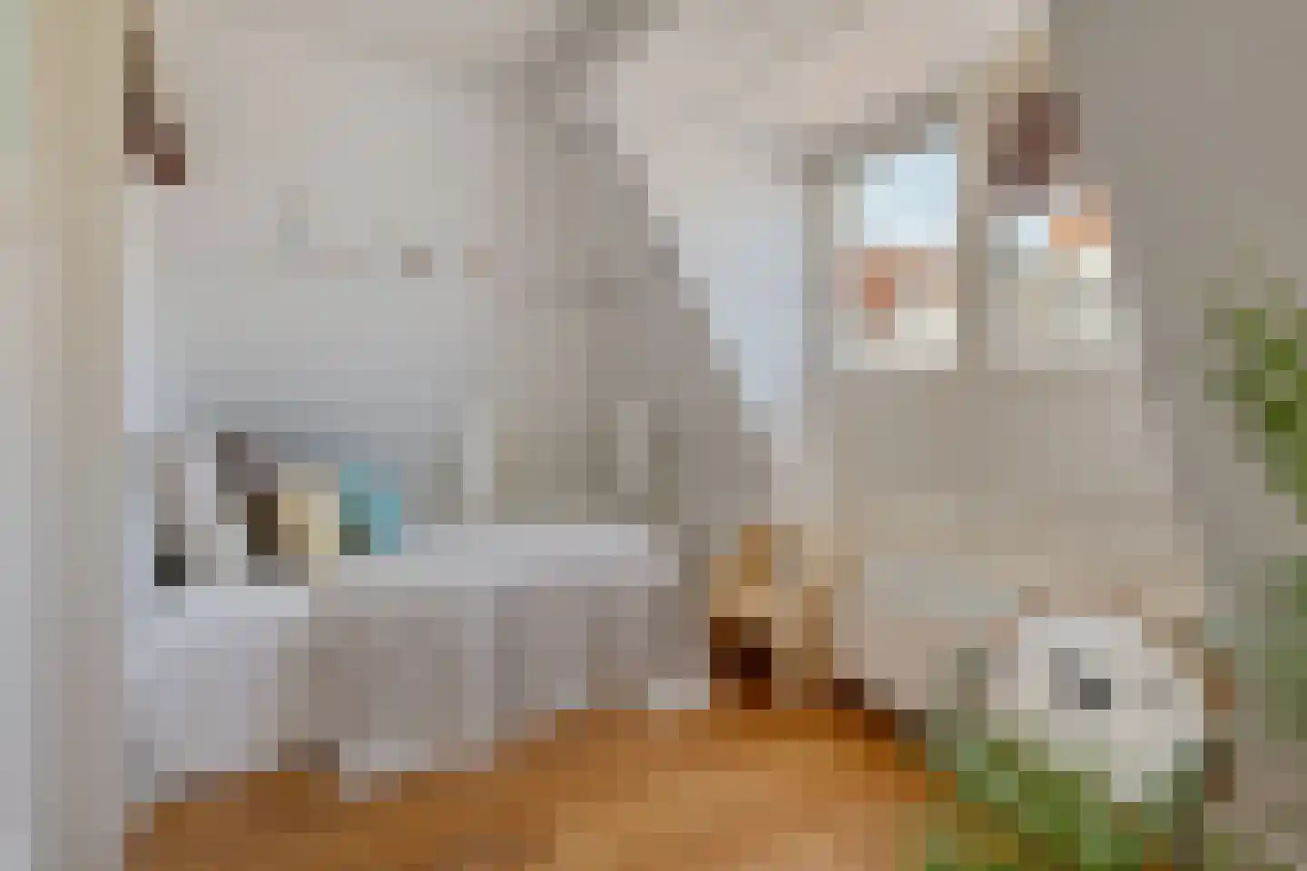 Palmstraat 60 2 Amsterdam thumbnail 16