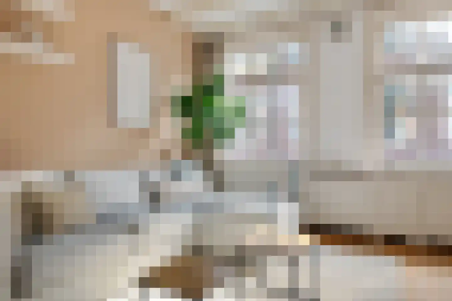 Palmstraat 60 2 Amsterdam thumbnail 7