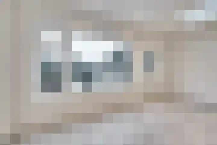 Palmstraat 72 Oss thumbnail 13