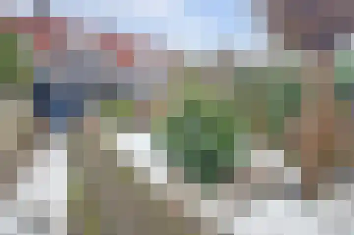 Palmstraat 72 Oss thumbnail 25