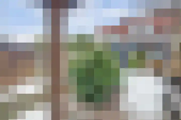 Palmstraat 72 Oss thumbnail 26
