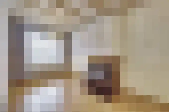 Palmstraat 72 Oss thumbnail 5