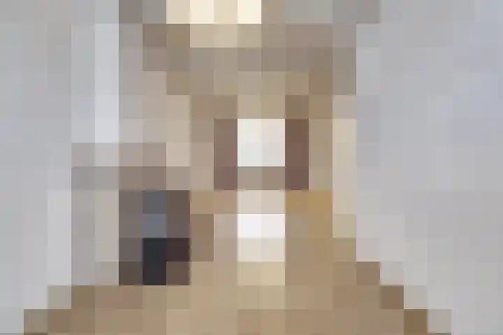 Palmstraat 72 Oss thumbnail 6