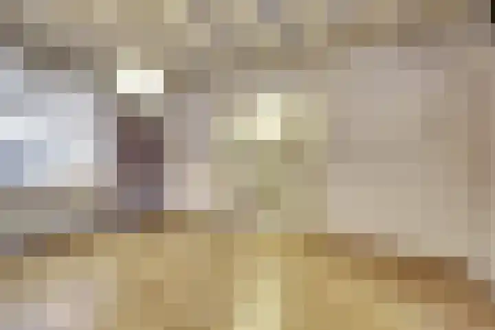 Palmstraat 72 Oss thumbnail 7
