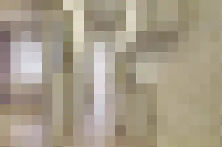 Palmstraat 72 Oss thumbnail 8