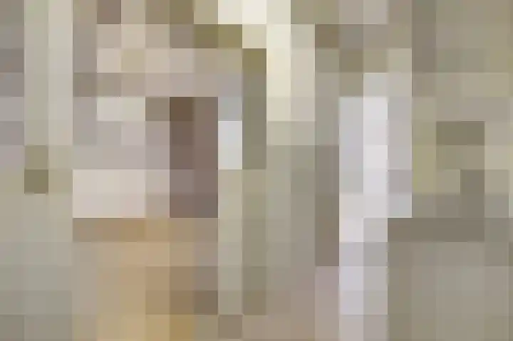 Palmstraat 72 Oss thumbnail 9