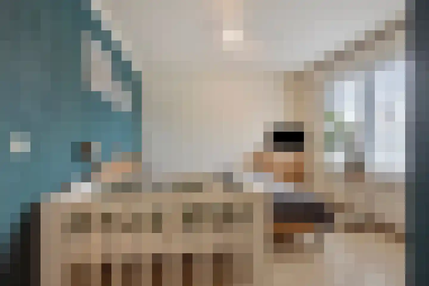 Palmstraat 77 Oss thumbnail 21