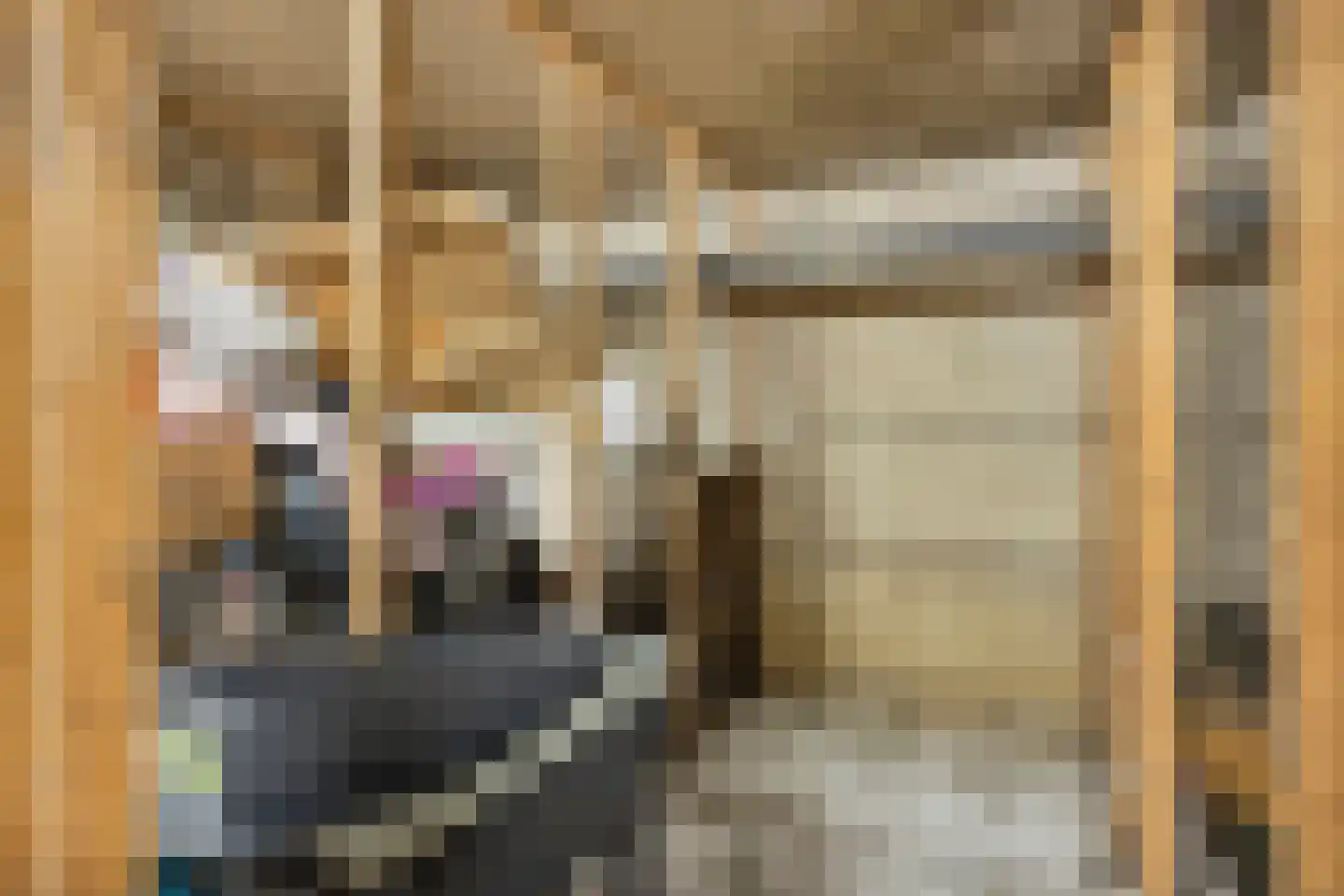 Palmstraat 77 Oss thumbnail 27