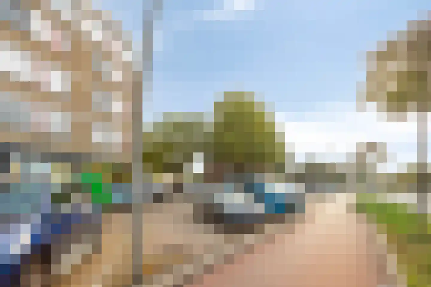 Palmstraat 77 Oss thumbnail 5
