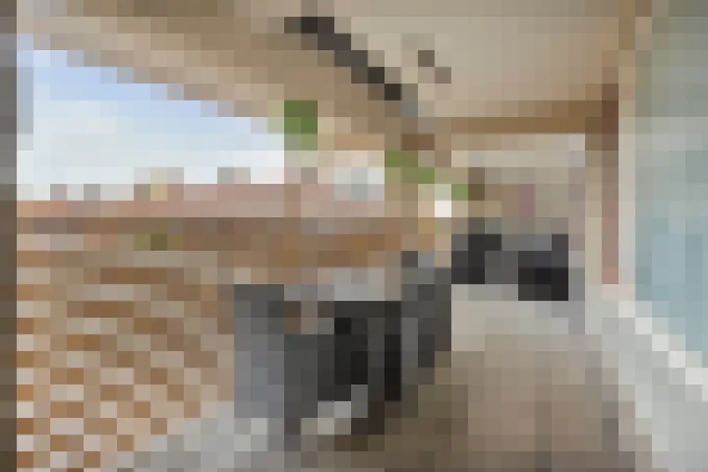 Palmstraat 77 Oss thumbnail 7