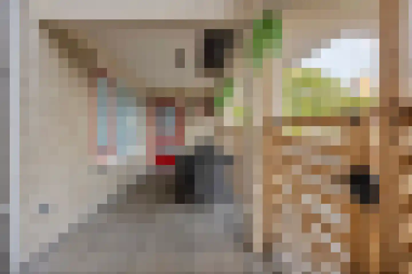Palmstraat 77 Oss thumbnail 8