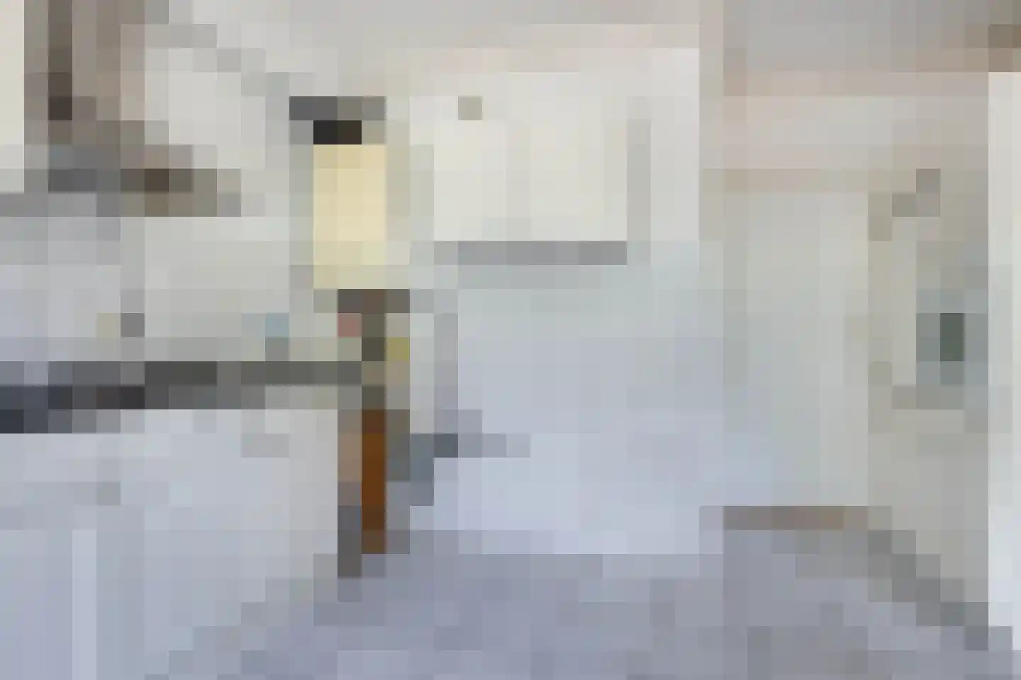 Palmstraat 8 Heerlen thumbnail 13