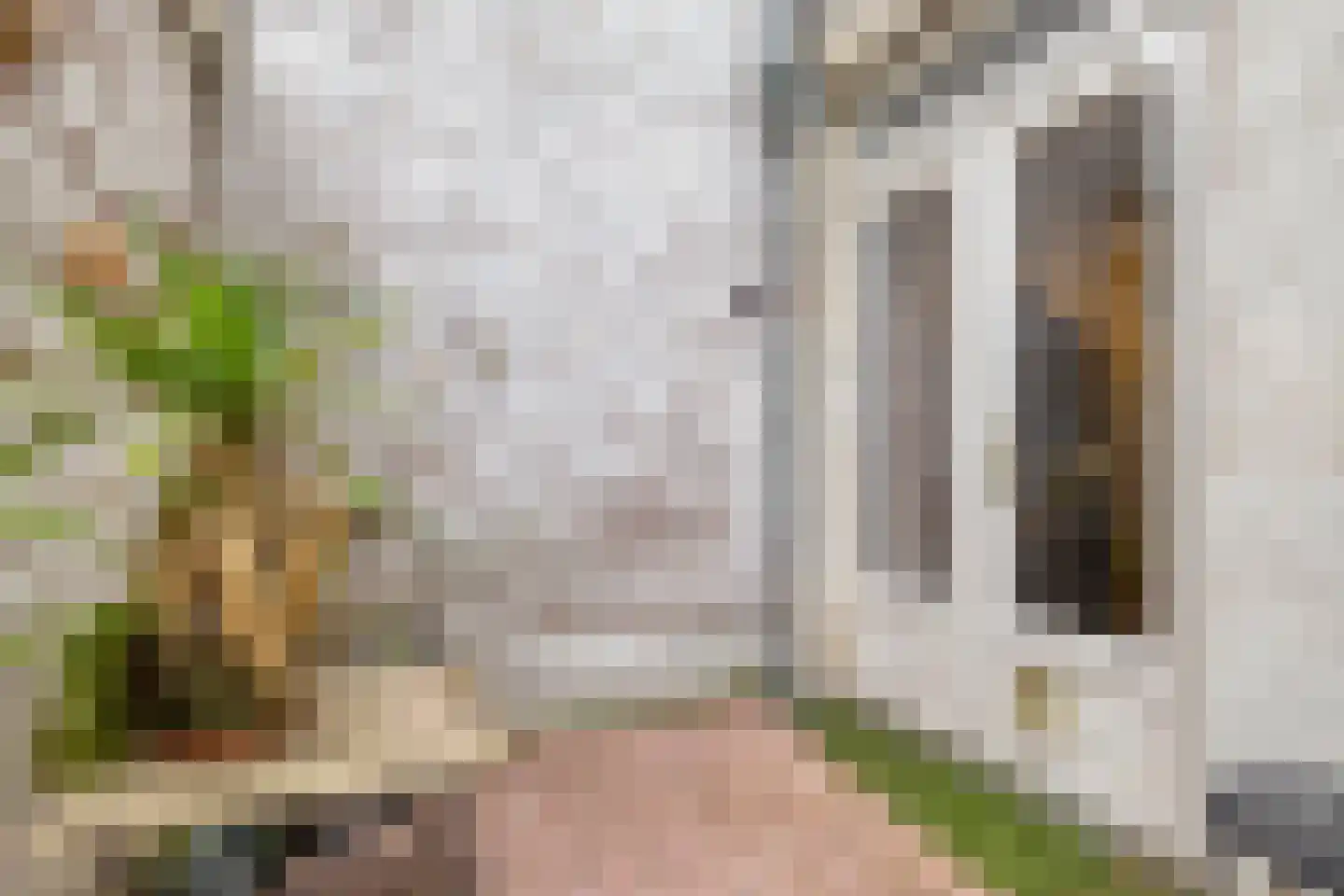Palmstraat 85 Amsterdam thumbnail 19