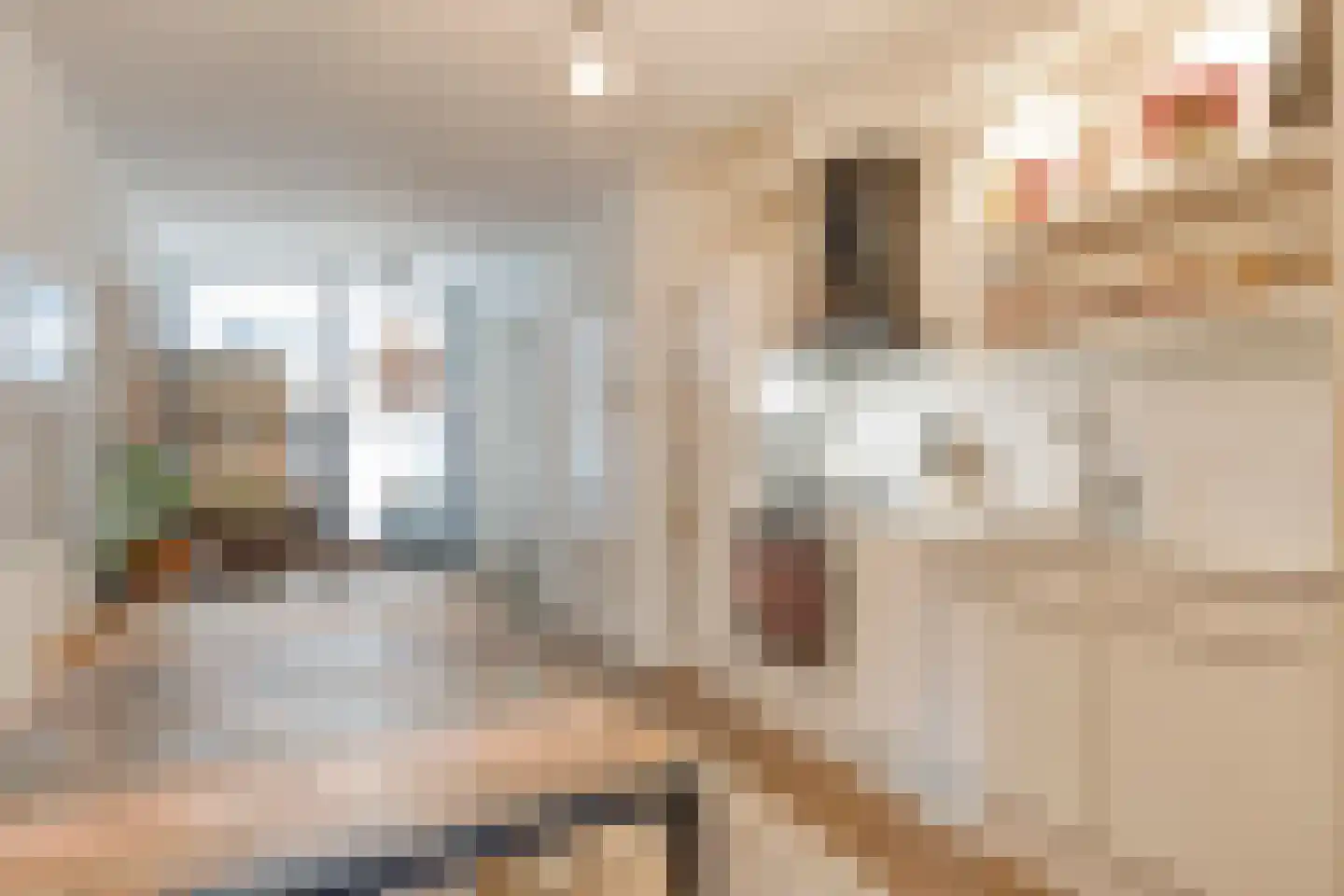 Palmstraat 85 H Amsterdam thumbnail 6