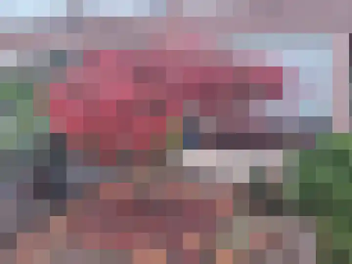 Palmstraat 89 Breda thumbnail 38