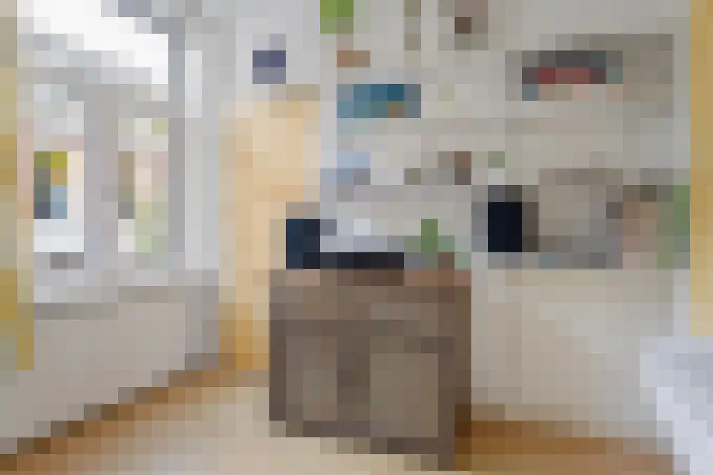 Palmstraat 9 Utrecht thumbnail 29