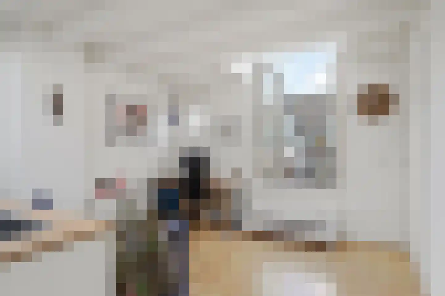 Palmstraat 9 Utrecht thumbnail 34