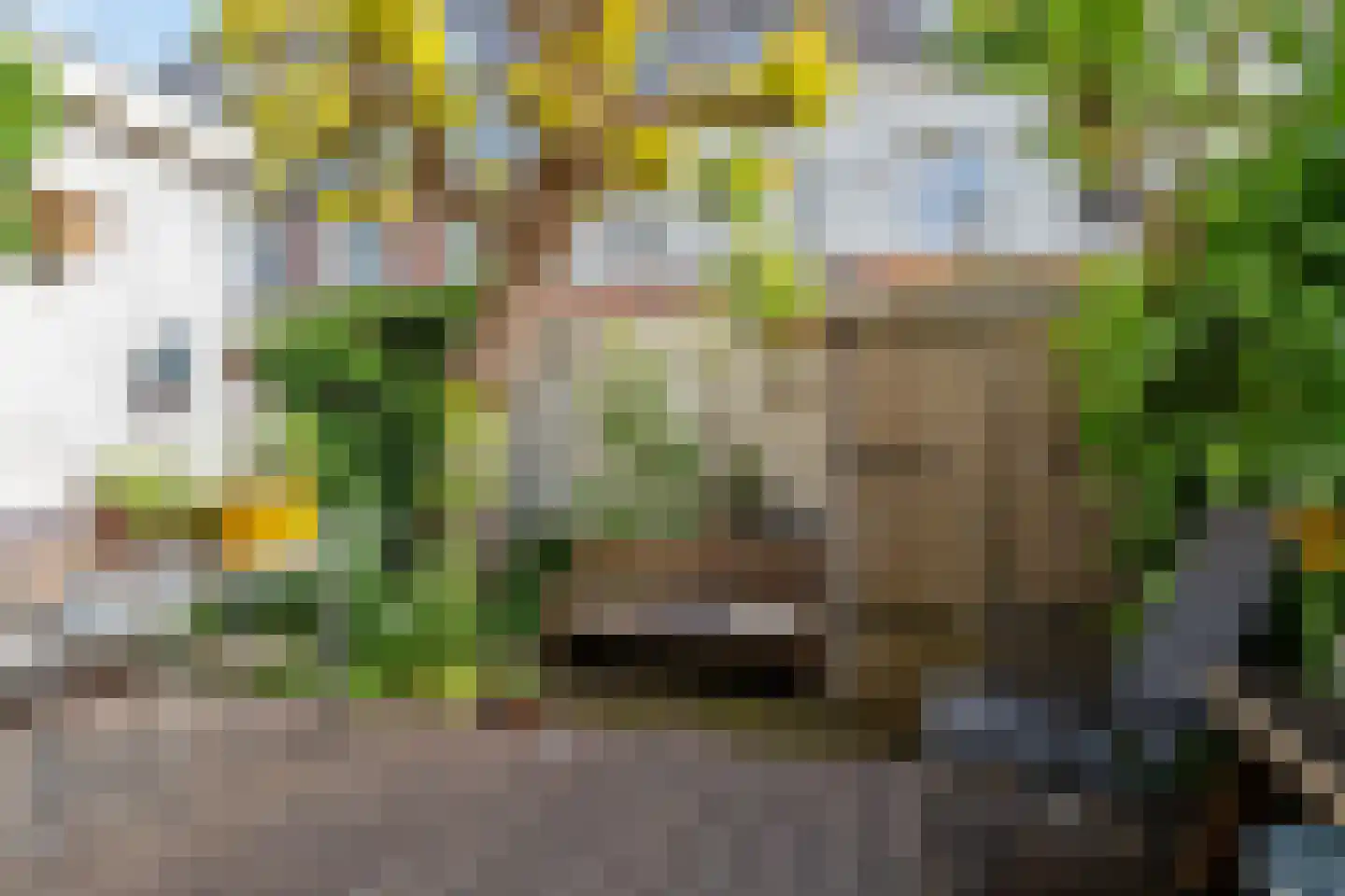 Palmstraat 9 Utrecht thumbnail 43