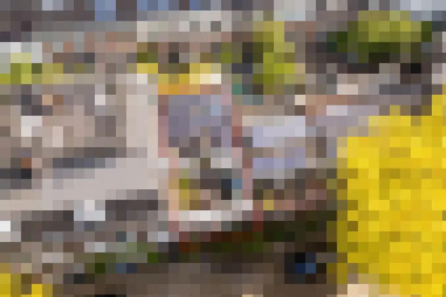 Palmstraat 9 Utrecht thumbnail 46
