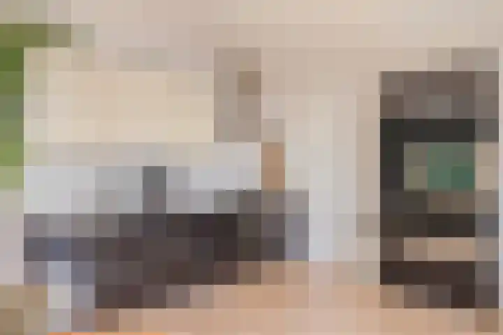 Palmstraat 93 Oss thumbnail 14