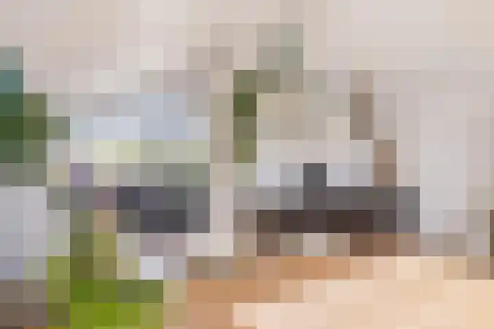 Palmstraat 93 Oss thumbnail 15
