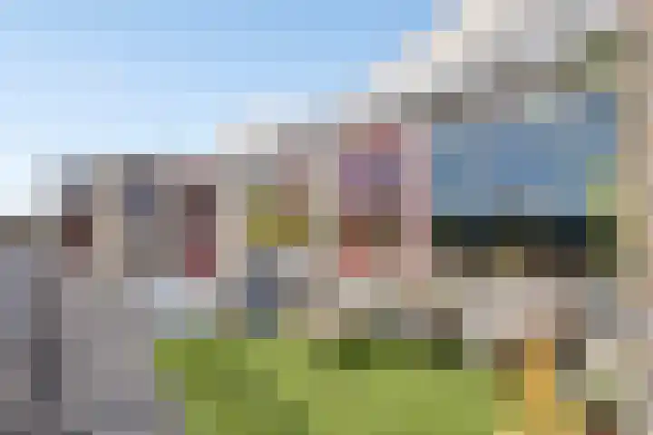 Palmstraat 93 Oss thumbnail 17