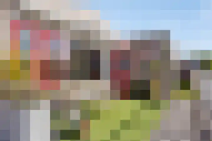 Palmstraat 93 Oss thumbnail 18