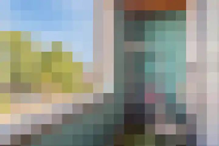 Palmstraat 93 Oss thumbnail 30