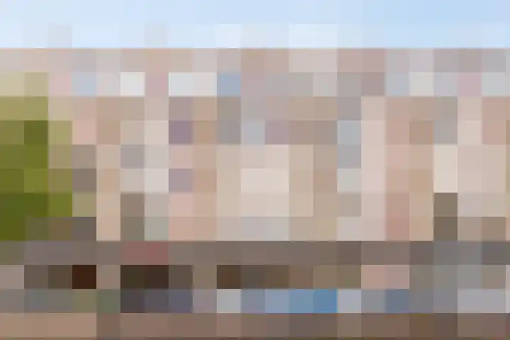 Palmstraat 93 Oss thumbnail 33