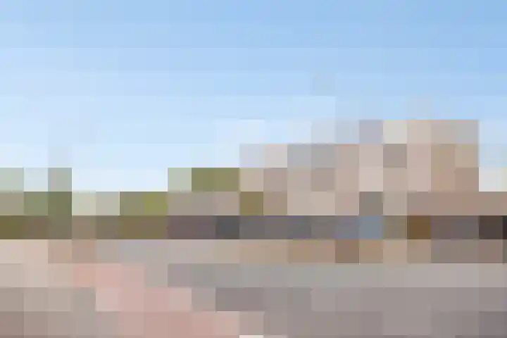Palmstraat 93 Oss thumbnail 5