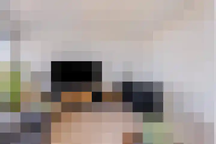 Palmstraat 93 Oss thumbnail 8
