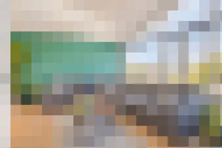 Palmstraat 93 Oss thumbnail 9