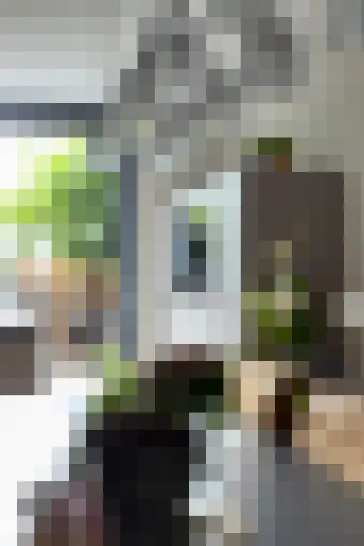 Palmsuikerweg 1 Utrecht thumbnail 13
