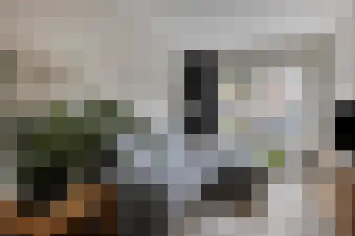Palmsuikerweg 1 Utrecht thumbnail 6