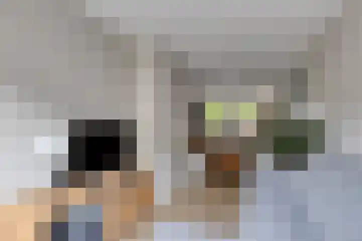 Palmsuikerweg 1 Utrecht thumbnail 7