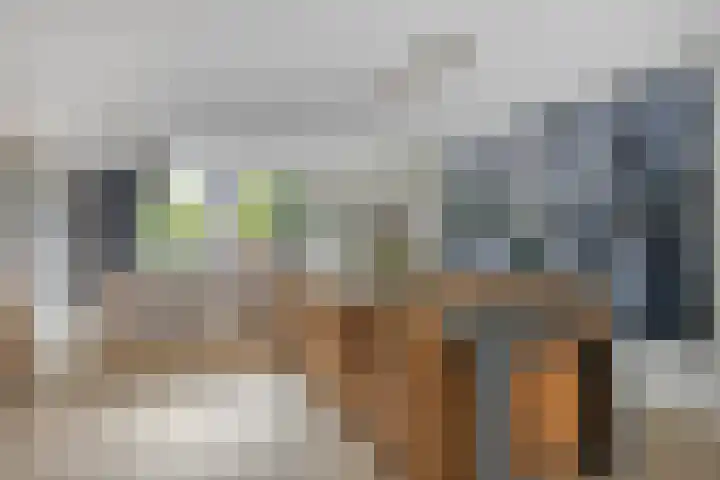 Palmsuikerweg 1 Utrecht thumbnail 8