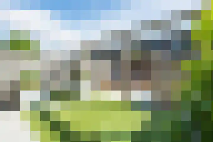 Palmsuikerweg 6 Utrecht thumbnail 11